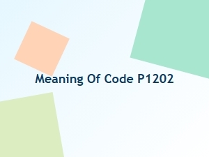 Meaning of Code P1202 and How to Fix It